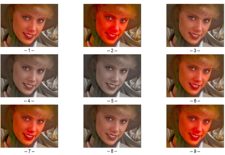 Stimuli vom Projekt: Einfluss von Buntheit auf den wahrgenommenen Realismus rekolorierter Bilder