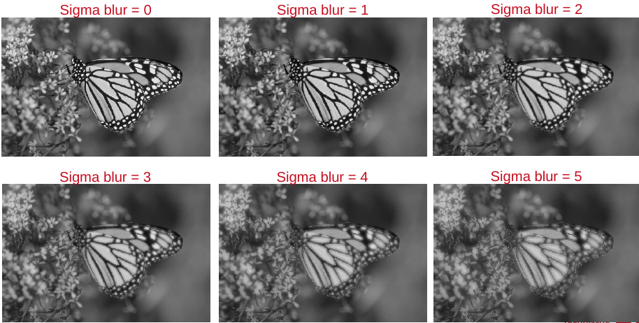 Stimuli - Distortion to salient regions.